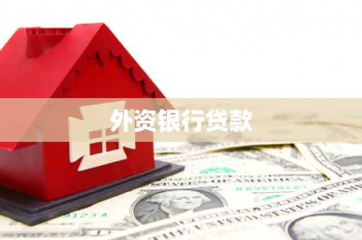 察隅外资银行贷款