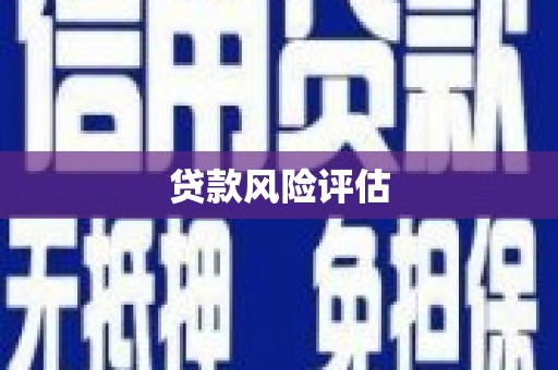 察隅贷款风险评估