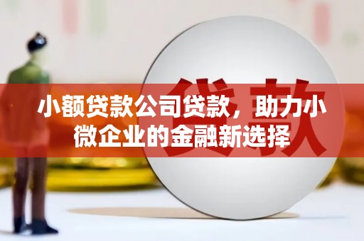 察隅小额贷款公司贷款，助力小微企业的金融新选择