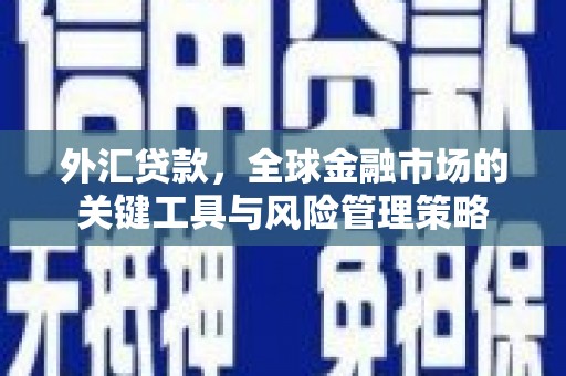 察隅外汇贷款，全球金融市场的关键工具与风险管理策略