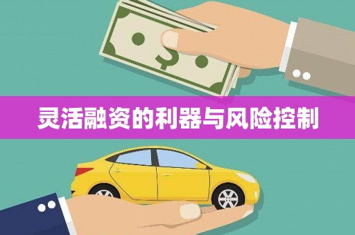 察隅灵活融资的利器与风险控制