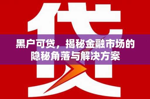 察隅黑户可贷，揭秘金融市场的隐秘角落与解决方案