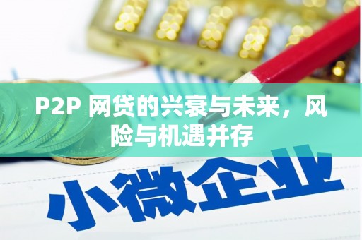 察隅P2P 网贷的兴衰与未来，风险与机遇并存