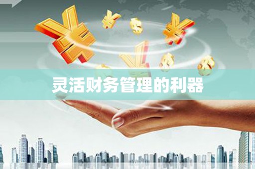 察隅灵活财务管理的利器