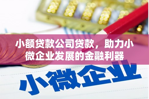 察隅小额贷款公司贷款，助力小微企业发展的金融利器