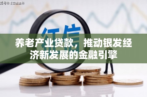 察隅养老产业贷款，推动银发经济新发展的金融引擎