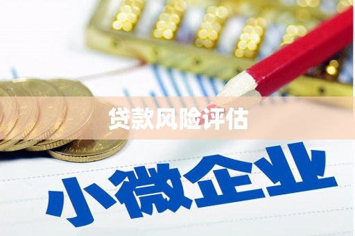 察隅贷款风险评估
