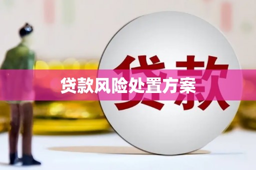 察隅贷款风险处置方案