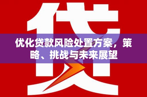 察隅优化贷款风险处置方案，策略、挑战与未来展望