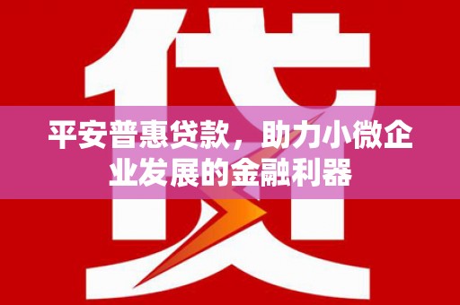 察隅平安普惠贷款，助力小微企业发展的金融利器
