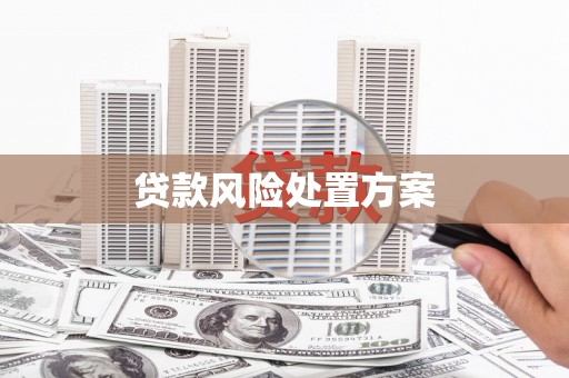 察隅贷款风险处置方案