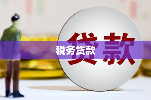 察隅税务贷款