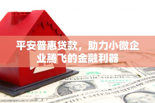 察隅平安普惠贷款，助力小微企业腾飞的金融利器