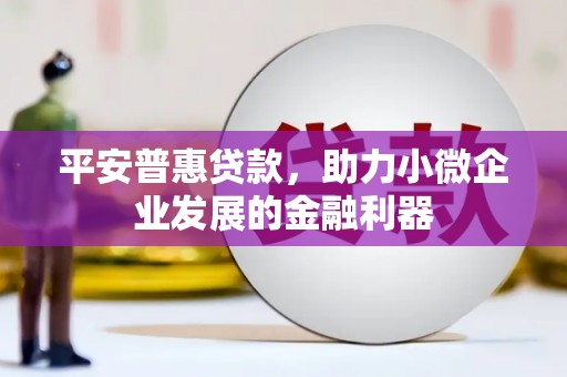 察隅平安普惠贷款，助力小微企业发展的金融利器