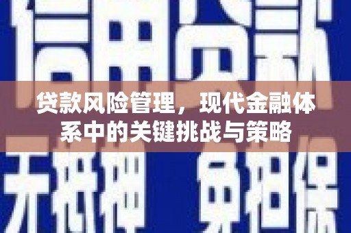 察隅贷款风险管理，现代金融体系中的关键挑战与策略