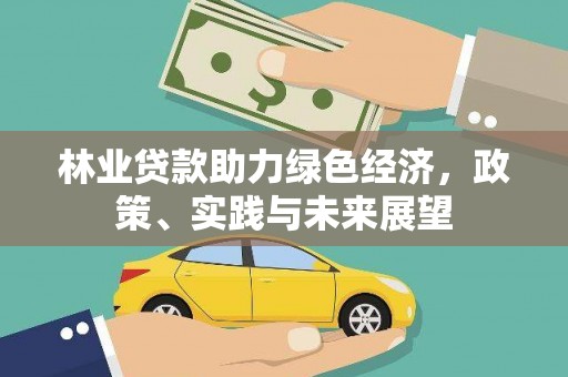 察隅林业贷款助力绿色经济，政策、实践与未来展望