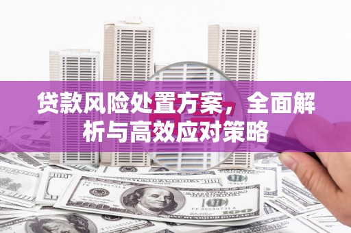 察隅贷款风险处置方案，全面解析与高效应对策略