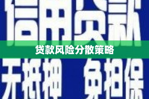 察隅贷款风险分散策略