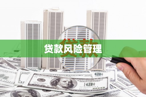察隅贷款风险管理