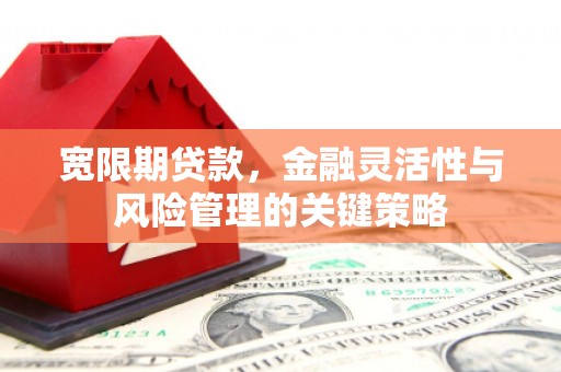 察隅宽限期贷款，金融灵活性与风险管理的关键策略