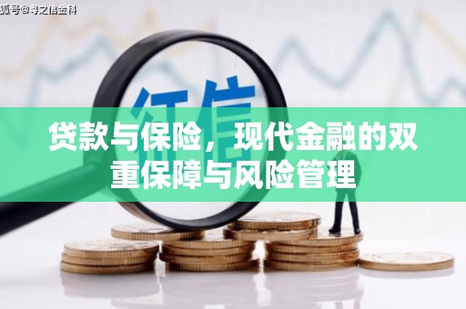 察隅贷款与保险，现代金融的双重保障与风险管理