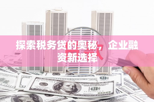 察隅探索税务贷的奥秘，企业融资新选择