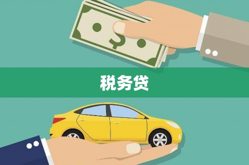 察隅税务贷