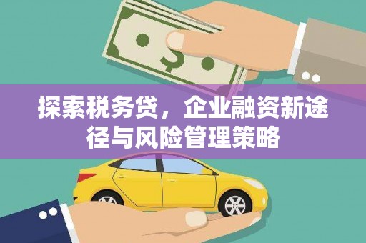 察隅探索税务贷，企业融资新途径与风险管理策略