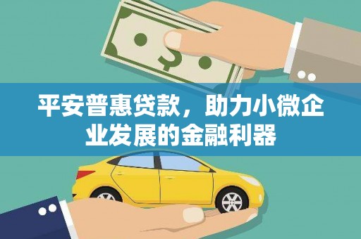 察隅平安普惠贷款，助力小微企业发展的金融利器