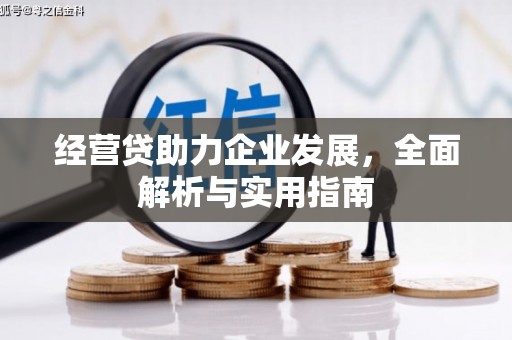 察隅经营贷助力企业发展，全面解析与实用指南