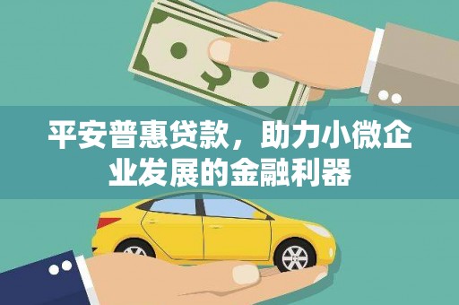 察隅平安普惠贷款，助力小微企业发展的金融利器