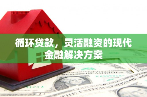 察隅循环贷款，灵活融资的现代金融解决方案