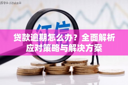 察隅贷款逾期怎么办？全面解析应对策略与解决方案