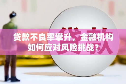 察隅贷款不良率攀升，金融机构如何应对风险挑战？