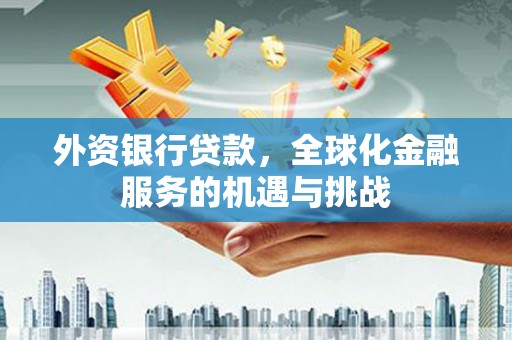 察隅外资银行贷款，全球化金融服务的机遇与挑战