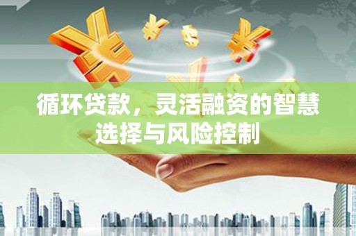 察隅循环贷款，灵活融资的智慧选择与风险控制