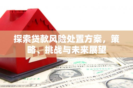 察隅探索贷款风险处置方案，策略、挑战与未来展望
