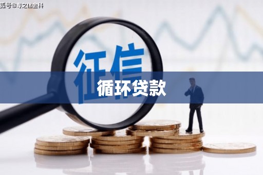 察隅循环贷款