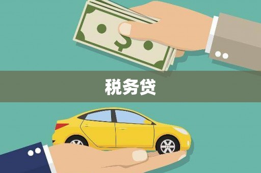 察隅税务贷