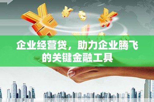 察隅企业经营贷，助力企业腾飞的关键金融工具