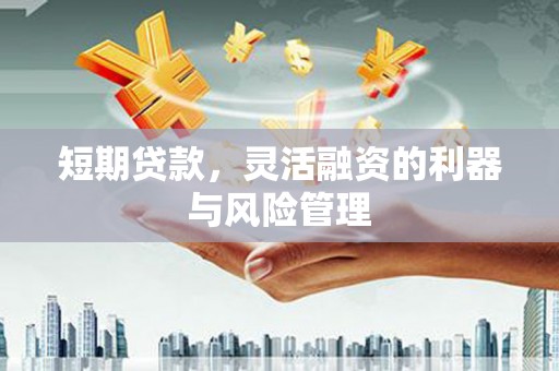察隅短期贷款，灵活融资的利器与风险管理
