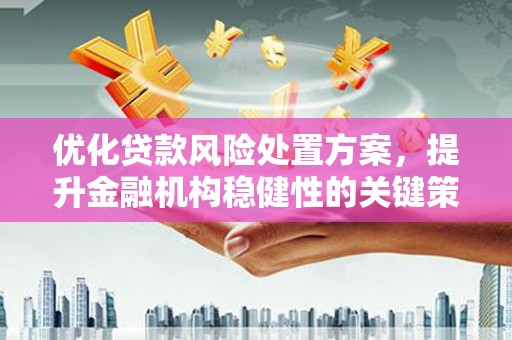 察隅优化贷款风险处置方案，提升金融机构稳健性的关键策略