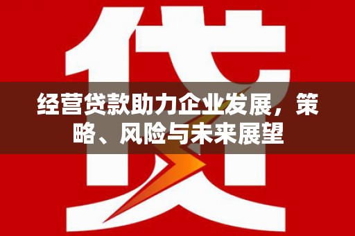 察隅经营贷款助力企业发展，策略、风险与未来展望