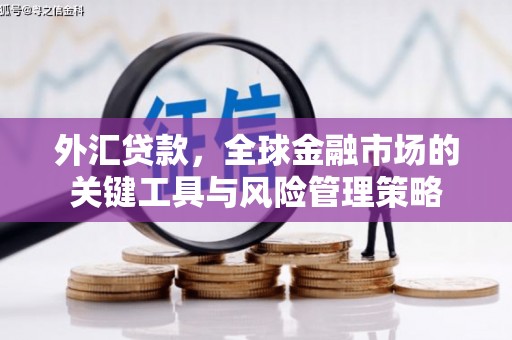 察隅外汇贷款，全球金融市场的关键工具与风险管理策略