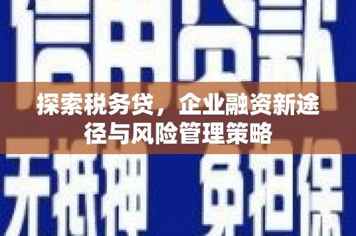 察隅探索税务贷，企业融资新途径与风险管理策略