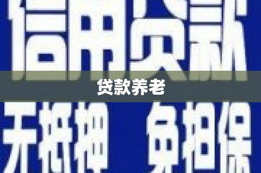 察隅贷款养老
