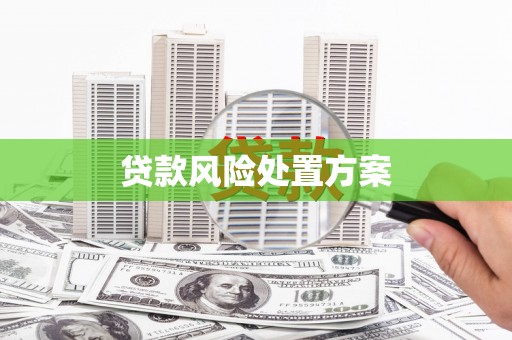 察隅贷款风险处置方案