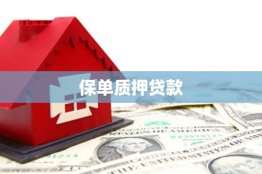 察隅保单质押贷款