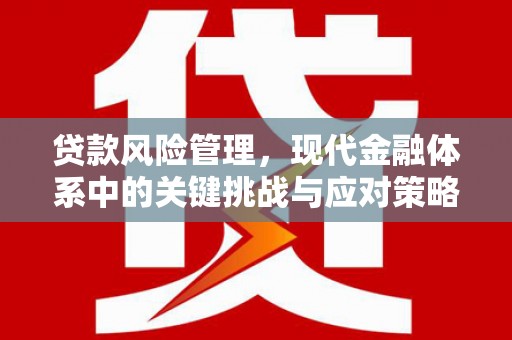 察隅贷款风险管理，现代金融体系中的关键挑战与应对策略