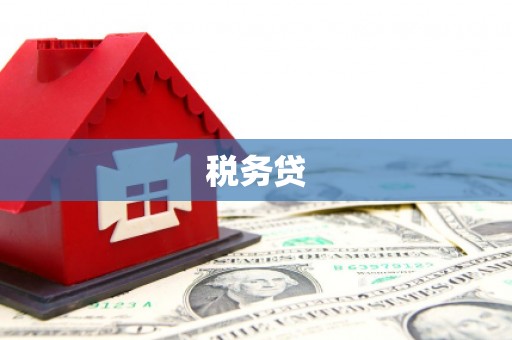 察隅税务贷